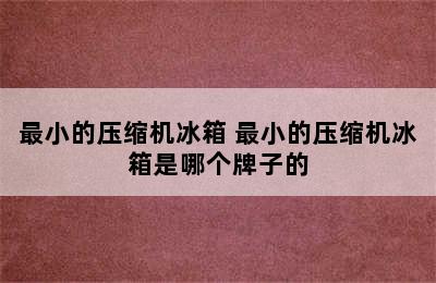 最小的压缩机冰箱 最小的压缩机冰箱是哪个牌子的